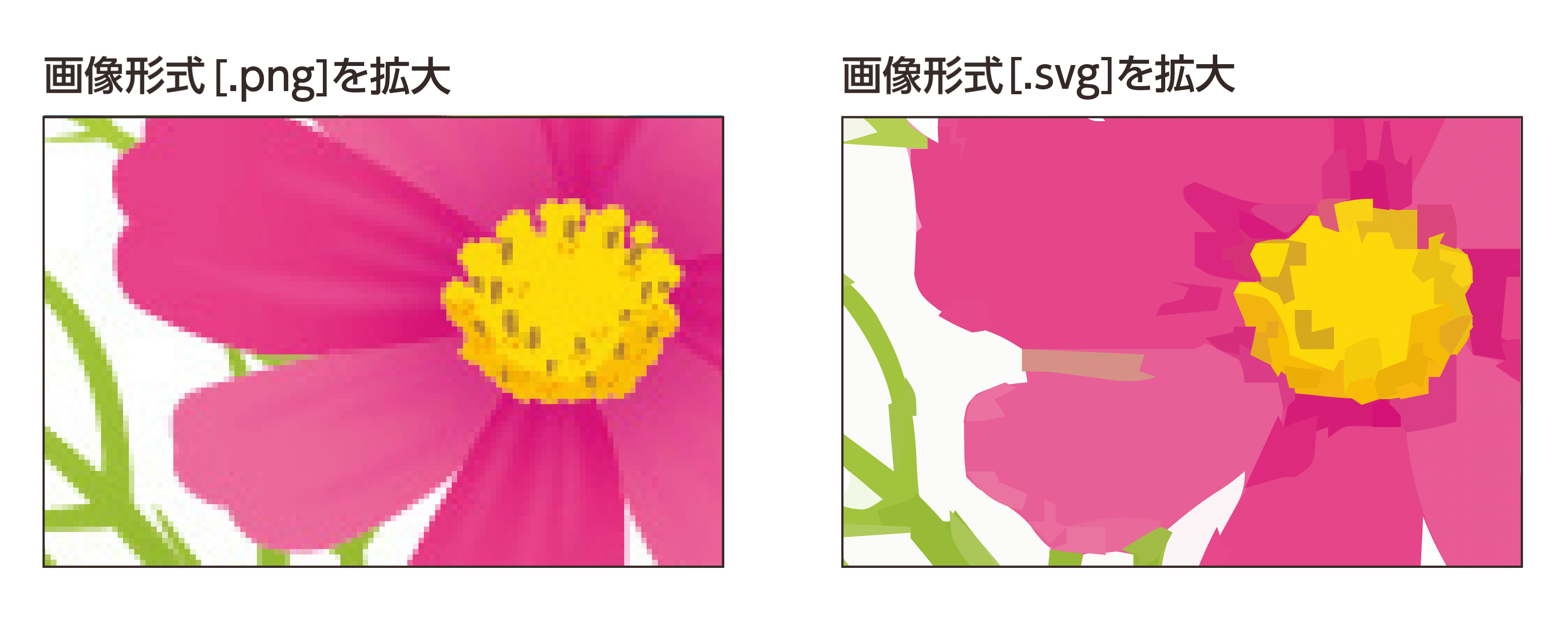 画像形式PNGとSVGの拡大した時の画質を比較